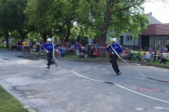 saratice09v021