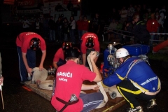 senetarov2010v025