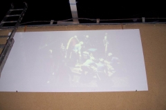 senetarov2010v056
