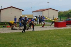 66146858_350228155876118_4714887300796907520_n