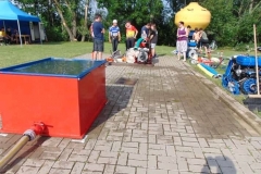 66349192_482235099273248_3999931514103005184_n