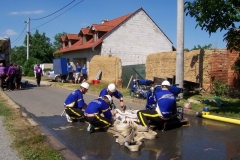 topolany2010v006