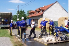 topolany2010v008