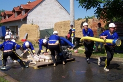 topolany2010v009