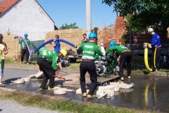 topolany2010v011