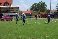 topolany09v003